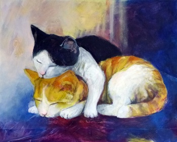 Schlafende Katzen